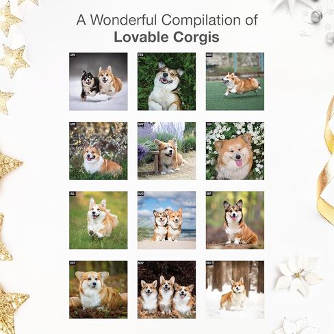 RED EMBER Corgis 2026 Wall Calendar 12 Month | 12" x 24" Open | Thick & Sturdy Paper | Holiday Gift | Cute Puppy Dog Calendar 2026 in Saudi Arabia
