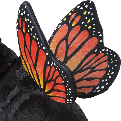 كاليفورنيا كوستيوم زي الفراشة للحيوانات الأليفة مقاس كبير in Kuwait