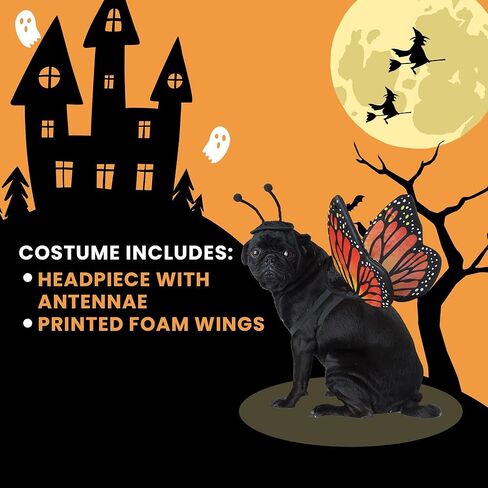 كاليفورنيا كوستيوم زي الفراشة للحيوانات الأليفة مقاس كبير in Kuwait