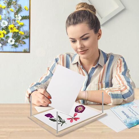 ورق نشاف لضغط الزهور، 20 ورقة مقاس 20 × 26 سم (10.23 × 7.87 بوصة) ورق ضغط زهور كبير، عشبي عالي الامتصاص وقابل لإعادة الاستخدام in Kuwait