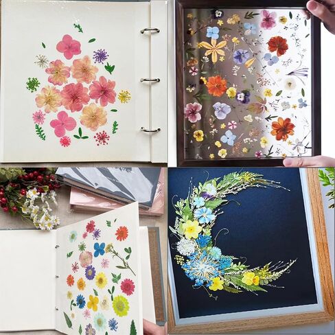 ورق نشاف لضغط الزهور، 20 ورقة مقاس 20 × 26 سم (10.23 × 7.87 بوصة) ورق ضغط زهور كبير، عشبي عالي الامتصاص وقابل لإعادة الاستخدام in Kuwait