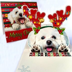 3D Pop-Up English Bulldog Dog Birthday Card - Cute Dog with Cake Celebration, Whimsical Happy Birthday Greeting for Dog Lovers - English Bulldog 3D Birthday Pop Up Card in Saudi Arabia