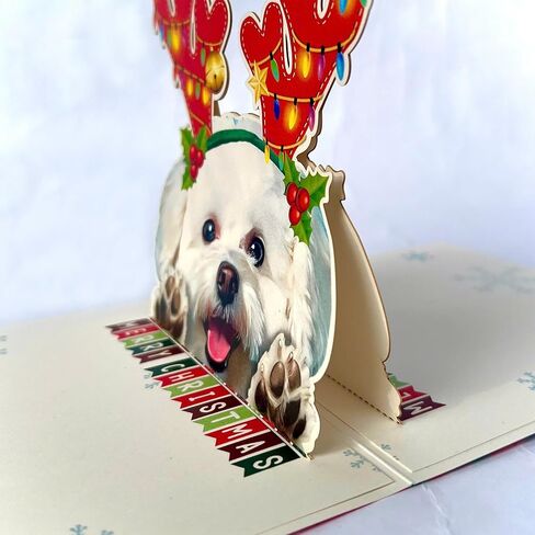 3D Pop-Up English Bulldog Dog Birthday Card - Cute Dog with Cake Celebration, Whimsical Happy Birthday Greeting for Dog Lovers - English Bulldog 3D Birthday Pop Up Card in Saudi Arabia