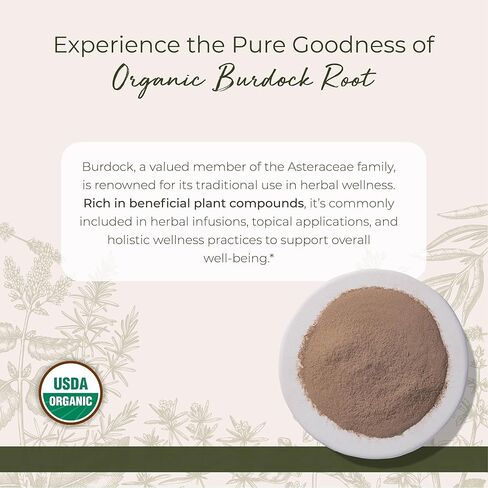 الأرقطيون الجذر Pwd العضوية - أركتيوم لابا، 4 أوقية، (نباتات ستارويست) in Kuwait