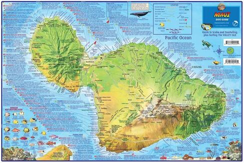 Maui Dive & Snorkeling Map Laminated Poster in Saudi Arabia