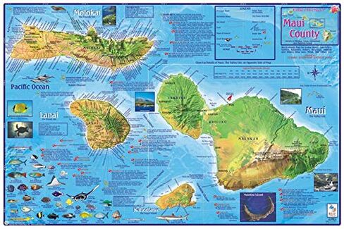 Maui Dive & Snorkeling Map Laminated Poster in Saudi Arabia