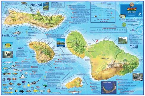 Maui Dive & Snorkeling Map Laminated Poster in Saudi Arabia