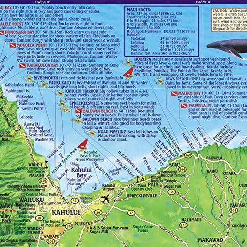 Maui Dive & Snorkeling Map Laminated Poster in Saudi Arabia