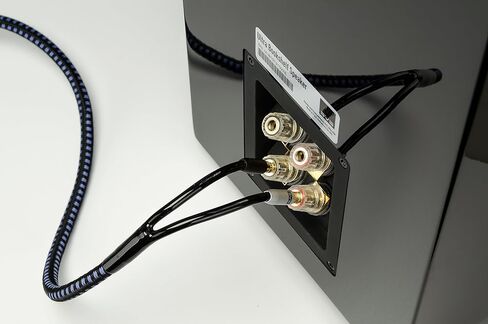 SVS SoundPath Ultra Speaker Cable - 10 ft. (3.04m) - Each in Saudi Arabia