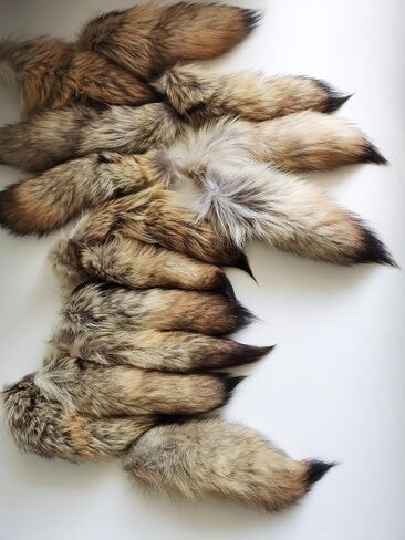 Pendant Decorations Decorative Animal Coyote Tail Leather Coyote Tail in Saudi Arabia