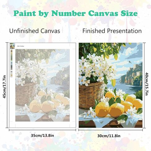 MEIYUDA Bookself Paint by Numbers Kit, Vintage Boho Paint by Numbers for Adults Beginners, DIY Acrylic Oil Painting by Number on Canvas for Home Wall Decor Gift 12x16in in Saudi Arabia