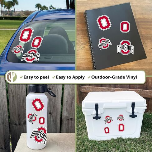 Desert Cactus Ohio State University OSU Buckeyes Stickers Vinyl Decals Laptop Water Bottle Car Scrapbook T1 (Type 1-2) in Kuwait