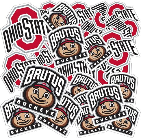 Desert Cactus Ohio State University OSU Buckeyes Stickers Vinyl Decals Laptop Water Bottle Car Scrapbook T1 (Type 1-2) in Saudi Arabia
