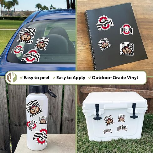 Desert Cactus Ohio State University OSU Buckeyes Stickers Vinyl Decals Laptop Water Bottle Car Scrapbook T1 (Type 1-2) in Saudi Arabia