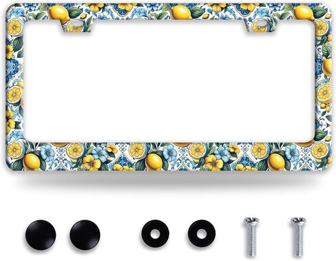 Ladybug Daisy License Plate Frame Bug Flowers License Plate Holder Funny Stainless Steel Accessories Cars Decor with 2 Holes and Screws Fits Standard Us Ca Vehicles 12.2 X 6 Inch in Saudi Arabia
