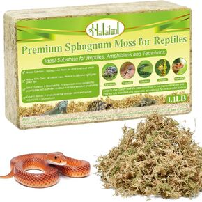 Halatool 1.1LB طحالب الطحالب الطبيعية للزواحف طحالب الزواحف الممتازة طحالب تررم المثالية لصندوق السلاحف الناسك وسرطان البحر والثعابين الفهد أبو بريص والهامستر الضميمة in Saudi Arabia