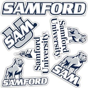 Desert Cactus Samford University Bulldogs Stickers Vinyl Decals Laptop Water Bottle Car Scrapbook T2 (Type 2)