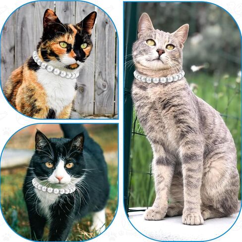 Amabro Dog Cat Pearl Collar, Bling Rhinestones Cat Necklace Collar Cute Pearl Crystal Dog Collar Bling Pearl Diamond Dog Necklace Jewelry for Small Dog Puppy Cat Wedding Birthday Party(Silver,L) in Saudi Arabia