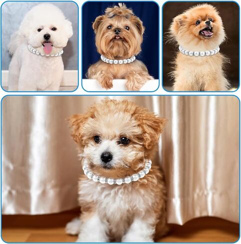 Amabro Dog Cat Pearl Collar, Bling Rhinestones Cat Necklace Collar Cute Pearl Crystal Dog Collar Bling Pearl Diamond Dog Necklace Jewelry for Small Dog Puppy Cat Wedding Birthday Party(Silver,L) in Saudi Arabia