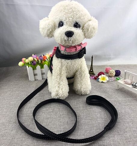 3pcs Bow Ties Bling Cute Dog Harness and Dog Collar with Lead for Dog - Black - S in Saudi Arabia