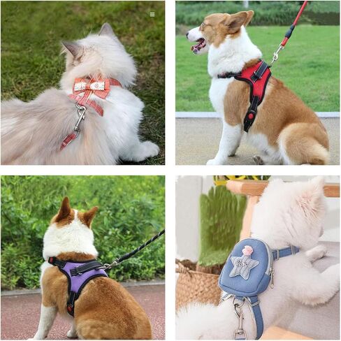 خطافات دوارة المفاجئة، خطافات مقود الكلب من الفولاذ المقاوم للصدأ 316 مشبك غوص سكوبا من الدرجة البحرية مناسب لمشابك أحزمة الكلاب الثقيلة، وسلاسل المفاتيح، والمحافظ، والحقائب المدرسية، والمحافظ، والأحزمة، وأطواق الحيوانات الأليفة 4 قطع. in Kuwait