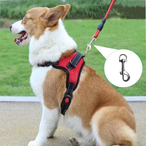 خطافات دوارة المفاجئة، خطافات مقود الكلب من الفولاذ المقاوم للصدأ 316 مشبك غوص سكوبا من الدرجة البحرية مناسب لمشابك أحزمة الكلاب الثقيلة، وسلاسل المفاتيح، والمحافظ، والحقائب المدرسية، والمحافظ، والأحزمة، وأطواق الحيوانات الأليفة 4 قطع. in Kuwait