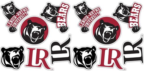 Desert Cactus Lenoir-Rhyne University Stickers Bears LRU Vinyl Decals Laptop Water Bottle Car Scrapbook13.43x10.98 T2 (Type 2) in Saudi Arabia