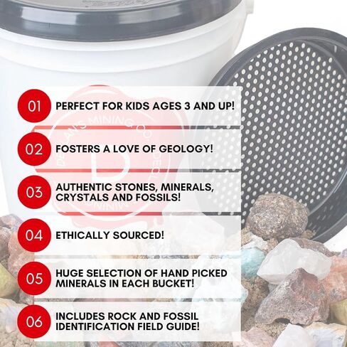 Declan's Mining Bucket, 1 Gallon Raw Stone Collection with 16 Crystal Types, 4+ lbs, Includes Identification Chart in Saudi Arabia