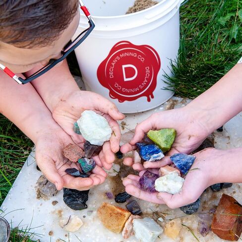 Declan's Mining Bucket, 1 Gallon Raw Stone Collection with 16 Crystal Types, 4+ lbs, Includes Identification Chart in Saudi Arabia