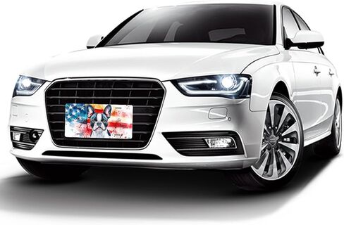 NGZ Beagle License Plate, Funny Pet American Flag Painting Aluminum License Plate Suitable for Car, RVs, Bars, Fences, garages, etc. 12x6 Inch in Saudi Arabia
