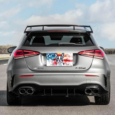 NGZ Beagle License Plate, Funny Pet American Flag Painting Aluminum License Plate Suitable for Car, RVs, Bars, Fences, garages, etc. 12x6 Inch in Saudi Arabia