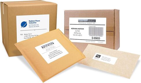 PRES-a-ply Laser Labels, 2 x 4 Inch, White, 1000 Count (30603) in Saudi Arabia