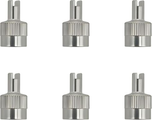 10 PCS Tire Valve Stem Caps, Nickel-Plated Metal Tyre Dust Caps with Valve Core Remover, Universal Slotted Slot Stem Covers for Schrader Cars Trucks Motorcycles Bicycles in Saudi Arabia