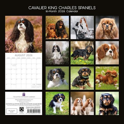 تقويم حائط مربع 2026 من The Gifted Stationery - مخطط 2026 لمدة 16 شهرًا مع 180 ملصقًا - عمل فني Cavalier King Charles Spaniels - 12 × 12 بوصة تقويم حائط معلق in Saudi Arabia