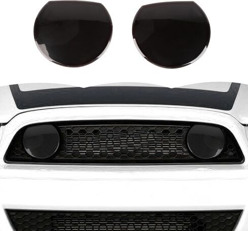 RT-TCZ Smoked Black Front Grille Light Lamp Trim Cover Decoration Exterior Accessories for Ford Mustang 2010-2014 in Saudi Arabia