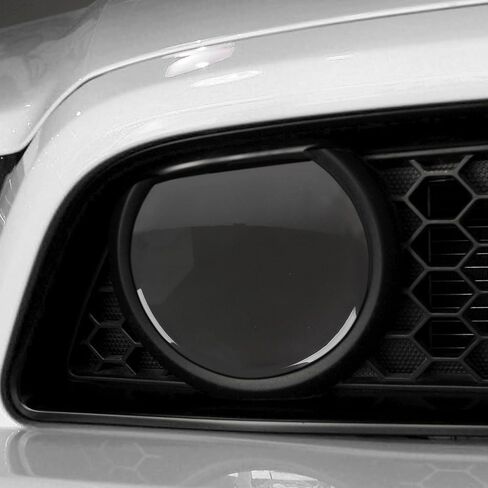 RT-TCZ Smoked Black Front Grille Light Lamp Trim Cover Decoration Exterior Accessories for Ford Mustang 2010-2014 in Saudi Arabia