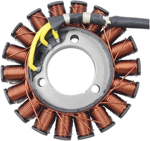 Accessories Motorcycle generator stator coil assembly suitable for BR250 Z250SL BX250 250 250SL Z 250 Z250 21003-0141 in Saudi Arabia