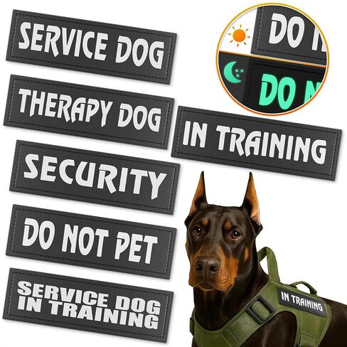 رقعة السنجاب السرية للمعدات التكتيكية - رقعات تكتيكية للسترات المزودة بخطاف وحلقة، رقعات عسكرية مضحكة لحقائب الظهر - رقعة معنوية للشرطة متعددة الكاميرات in Kuwait