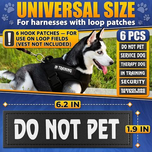 رقعة السنجاب السرية للمعدات التكتيكية - رقعات تكتيكية للسترات المزودة بخطاف وحلقة، رقعات عسكرية مضحكة لحقائب الظهر - رقعة معنوية للشرطة متعددة الكاميرات in Kuwait