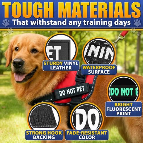 رقعة السنجاب السرية للمعدات التكتيكية - رقعات تكتيكية للسترات المزودة بخطاف وحلقة، رقعات عسكرية مضحكة لحقائب الظهر - رقعة معنوية للشرطة متعددة الكاميرات in Kuwait