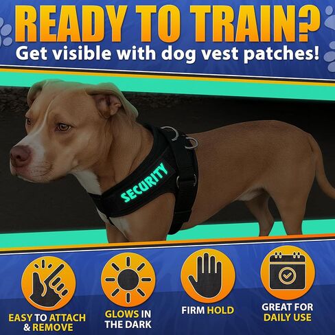 رقعة السنجاب السرية للمعدات التكتيكية - رقعات تكتيكية للسترات المزودة بخطاف وحلقة، رقعات عسكرية مضحكة لحقائب الظهر - رقعة معنوية للشرطة متعددة الكاميرات in Kuwait