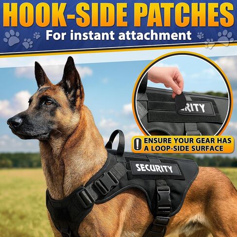 رقعة السنجاب السرية للمعدات التكتيكية - رقعات تكتيكية للسترات المزودة بخطاف وحلقة، رقعات عسكرية مضحكة لحقائب الظهر - رقعة معنوية للشرطة متعددة الكاميرات in Kuwait