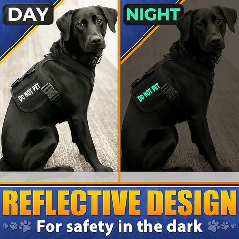 رقعة السنجاب السرية للمعدات التكتيكية - رقعات تكتيكية للسترات المزودة بخطاف وحلقة، رقعات عسكرية مضحكة لحقائب الظهر - رقعة معنوية للشرطة متعددة الكاميرات in Kuwait