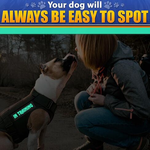 رقعة السنجاب السرية للمعدات التكتيكية - رقعات تكتيكية للسترات المزودة بخطاف وحلقة، رقعات عسكرية مضحكة لحقائب الظهر - رقعة معنوية للشرطة متعددة الكاميرات in Kuwait