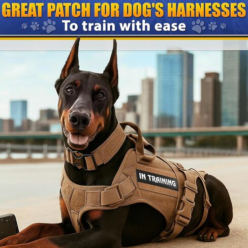 رقعة السنجاب السرية للمعدات التكتيكية - رقعات تكتيكية للسترات المزودة بخطاف وحلقة، رقعات عسكرية مضحكة لحقائب الظهر - رقعة معنوية للشرطة متعددة الكاميرات in Kuwait