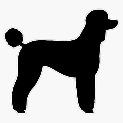 Magnet Black Standard Poodle Silhouette(S) Vinyl Waterproof Magnetic Sticker Vinyl Waterproof Magnet Decal Car 5" in Saudi Arabia