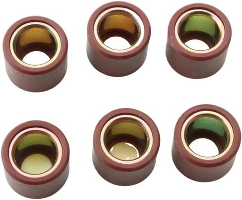 6PC 13.8g Variator Roller Weights 21x17mm Compatible With GTS Super 300 GTV 300cc CM849480 in Saudi Arabia