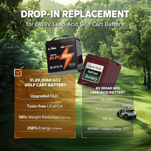 Litime 48V Lithium Golf Cart Battery Kit, Up to 5.12KW Output, CAN&RS485 Communication, Bluetooth 5.0, 4000+ Cycles, IP65 Waterproof, Perfect for Golf Carts,Home in Kuwait