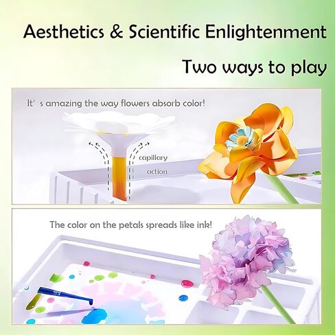 TEHZYORA Paper Flower Science & Craft Kit for Girls Ages 8–12 – DIY Color-Wicking Blooming Flowers with Primary Dyes, STEM Art Project, Bouquet Box Included (Green) in Saudi Arabia