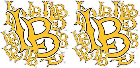 Desert Cactus Cal State Long Beach Sticker University California Dirtbags LBSU CSULB Stickers Vinyl Decals Laptop Water Bottle Car Scrapbook T3 (Type 3-1) in Kuwait